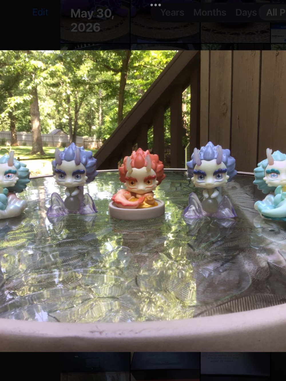 (5) Dragon Mystery Figures
